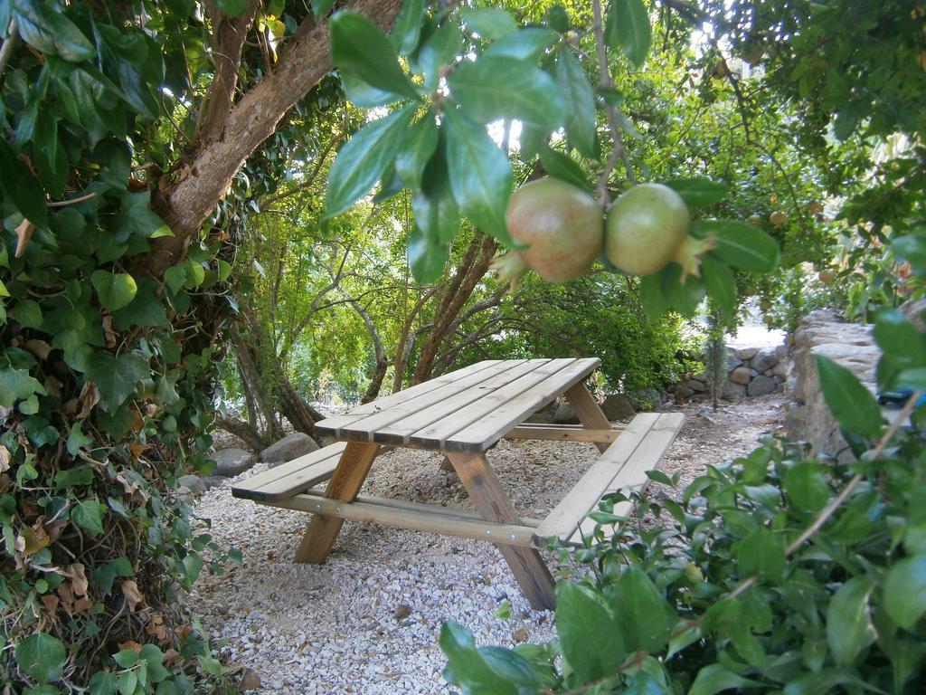 Quinta Do Tempo Gospodarstwo wiejskie