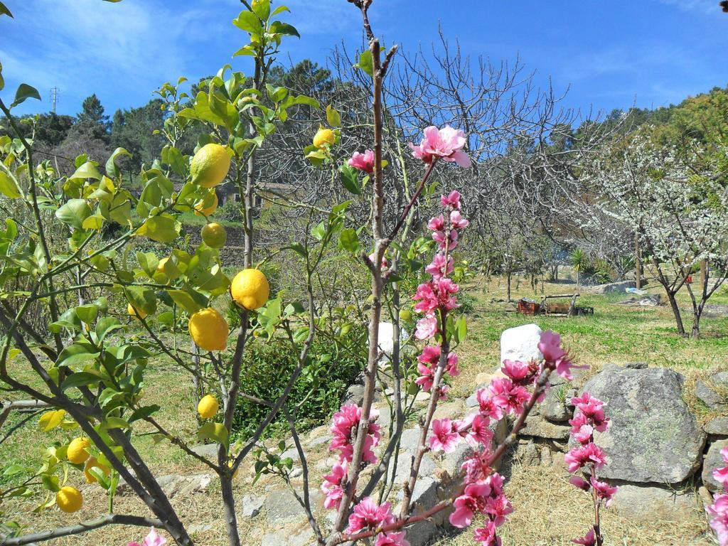 Quinta Do Tempo Monchique